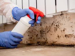 Reliable Marseilles, IL Mold Removal & Remediation Solutions